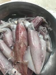 Sotong 3/5 - 6 block